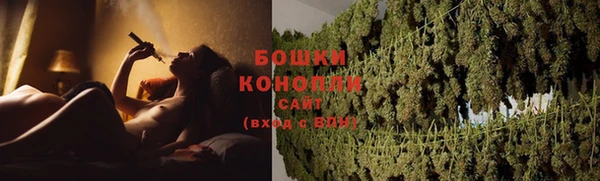 ГАЛЛЮЦИНОГЕННЫЕ ГРИБЫ Волосово